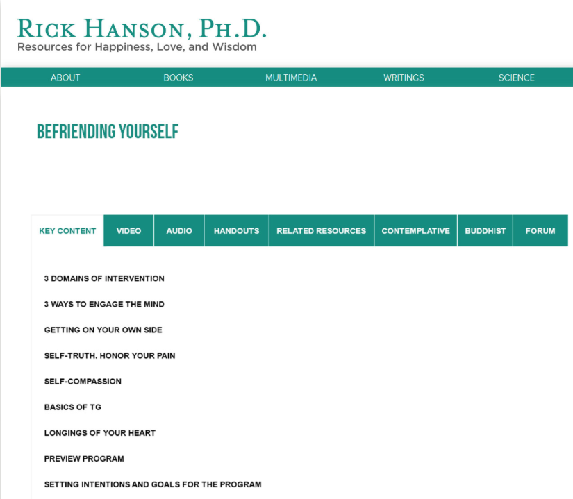 rick hanson foundations of wellbeing key content